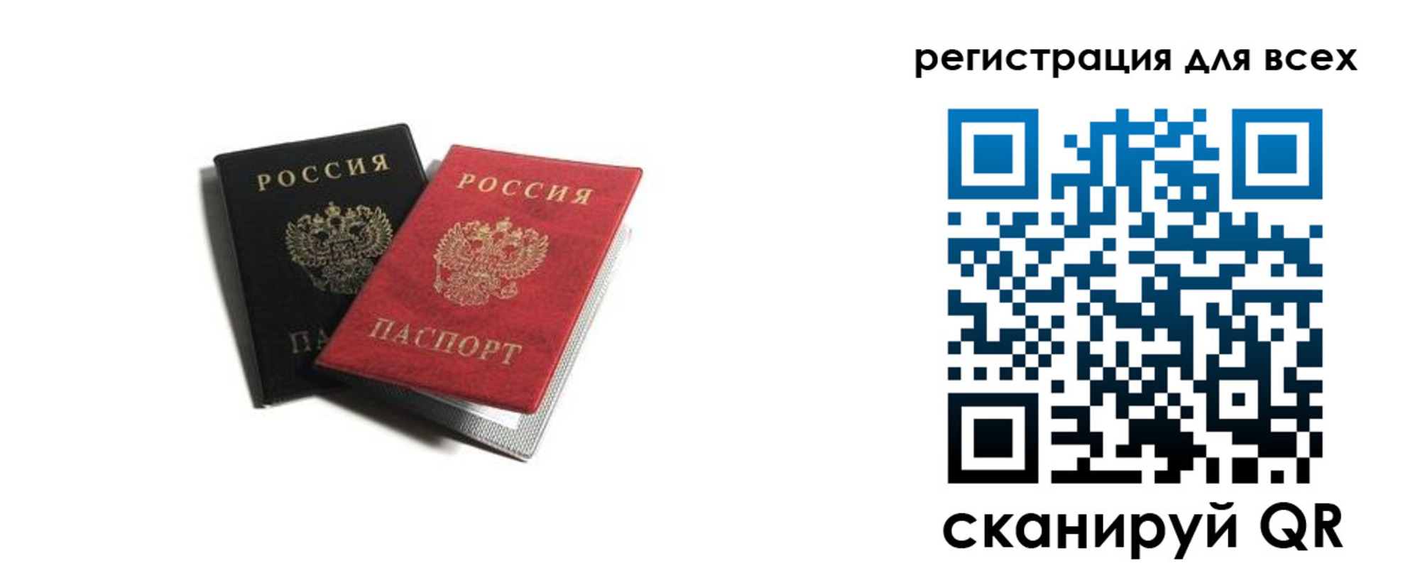 прописка гарантия в Куровском